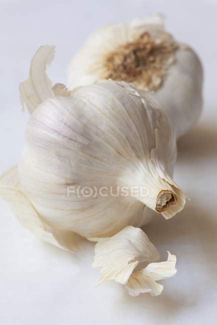 Two fresh garlic bulbs — Stock Photo