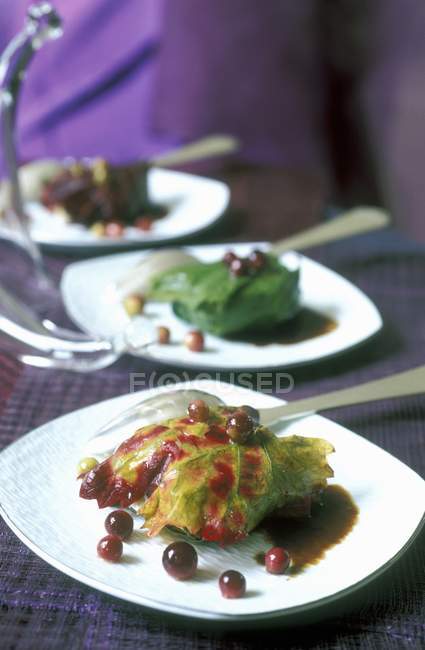 Closeup view of quails wrapped in vine leaves with grapes on white plates — Stock Photo