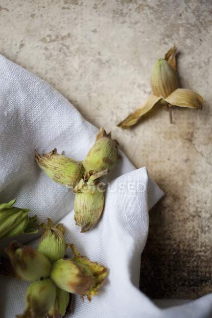 Close up top view of English cob nuts on white linen cloth and stone background — стоковое фото