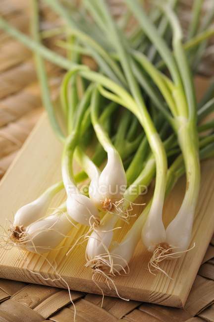 Spring raw onions — Stock Photo