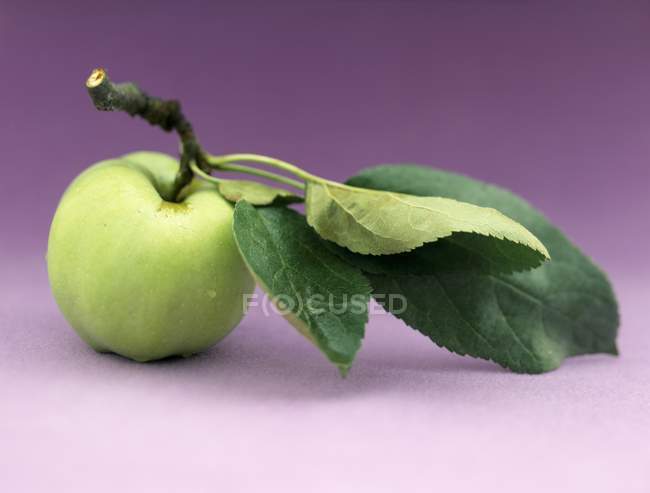 Manzana verde fresca con hojas - foto de stock