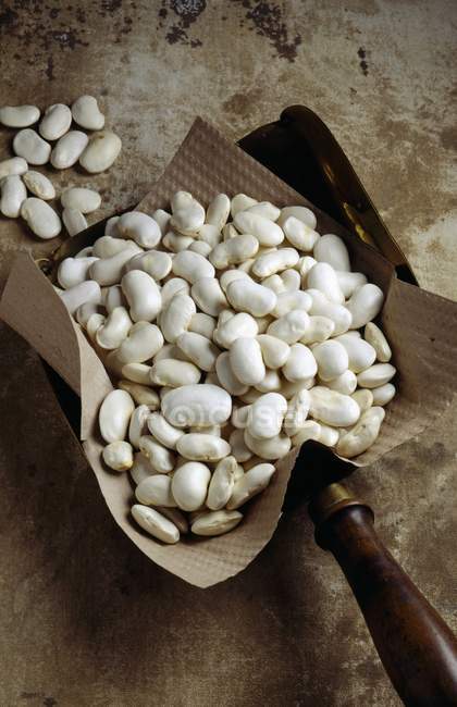 Soisson haricots blancs sur papier — Photo de stock