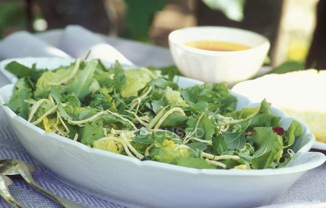 Зелений салат зі смужками — стокове фото