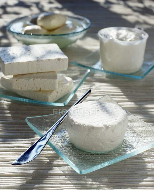 Fresh cheeses on plates — Stock Photo