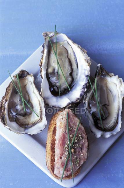 Fresh oysters and duck crostino — Stock Photo