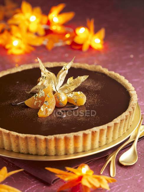 Chocolate and physalis tart — Stock Photo