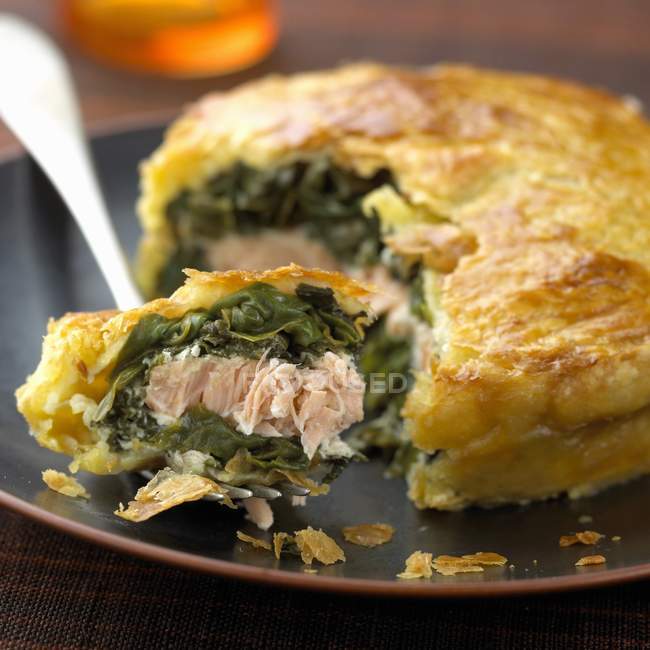 Salmon and spinach pie — Stock Photo