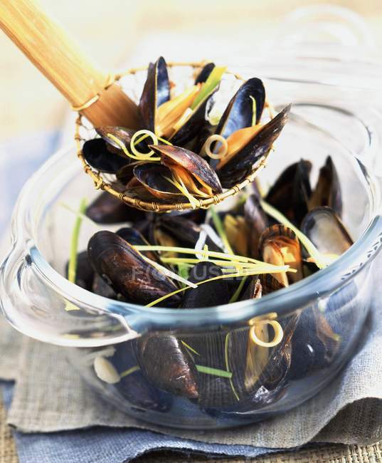 Mussels  in white wine — Stock Photo
