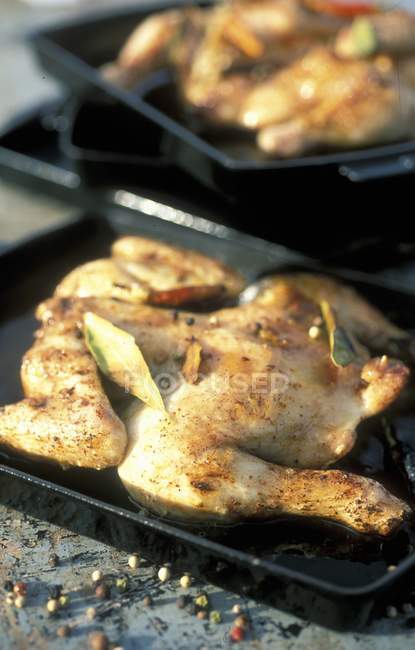 Bay leaf whole roasted chicken — Stock Photo