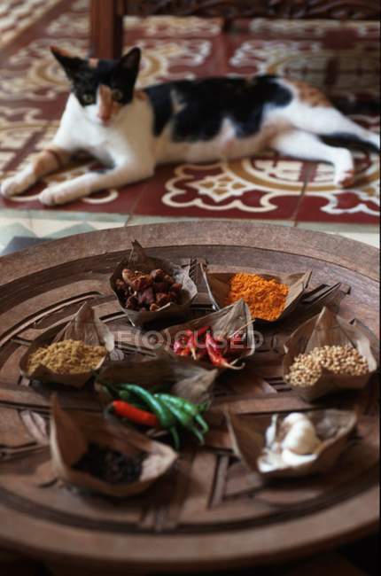 Elevated view of different spices on paper boats and a cat lying on carpet — Stock Photo