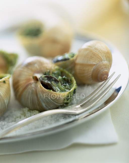 Lumache cotte su piatto bianco con forchetta — Foto stock