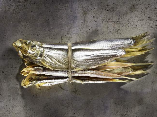Sardines tied with twine — Stock Photo