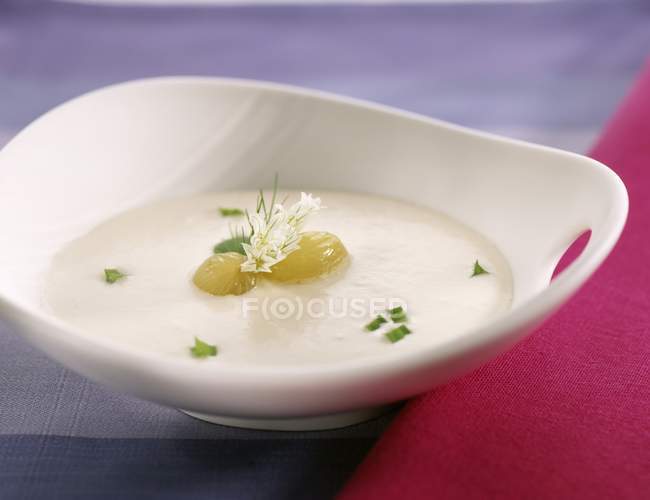 Кремовый суп с овощами и травами на белой тарелке — стоковое фото