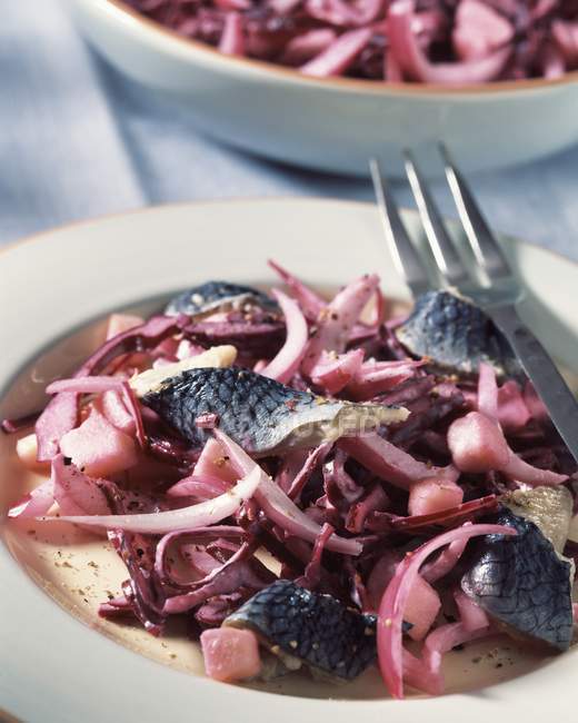 Red cabbage with herring and apple salad — Stock Photo