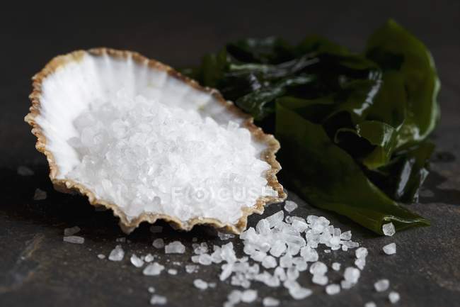 Грубая соль в морской скорлупе — стоковое фото