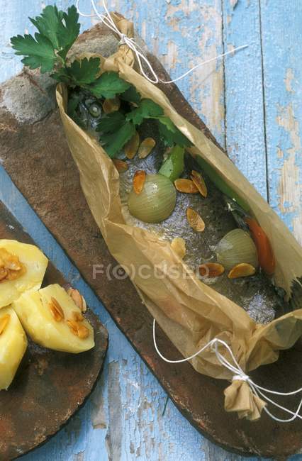 Trucha alsaciana - foto de stock