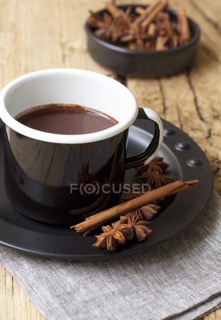 Hot chocolate with cinnamon — Stock Photo