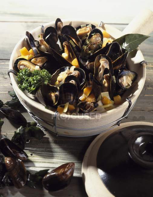 Closeup view of mussel Cassoulet in ceramic Cassole pot — Stock Photo