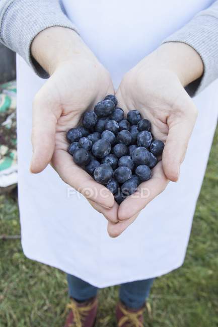 Female Hands holding blueberries — Stock Photo