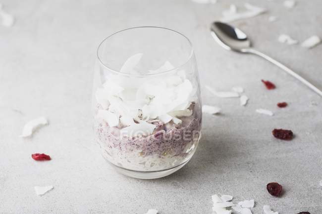 Pudim de arroz com cranberries e coco — Fotografia de Stock