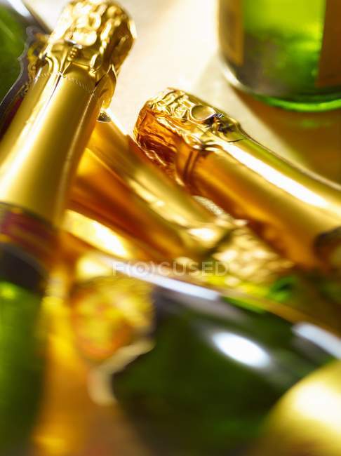 Necks of champagne bottles — Stock Photo