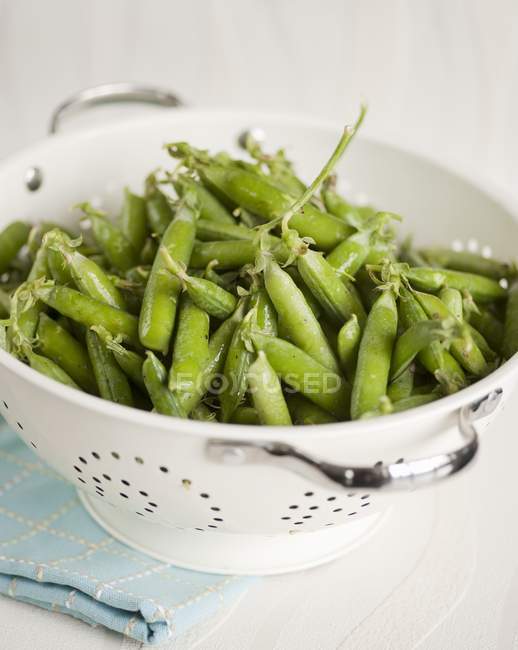 Fresh Peas in pods — Stock Photo
