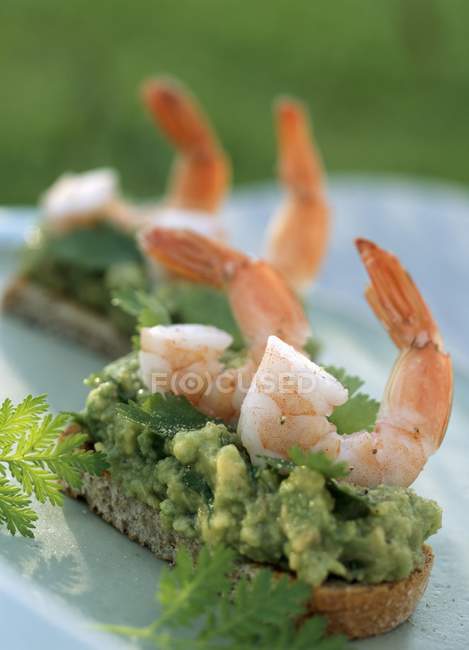Shrimp and guacamole toasts — Stock Photo