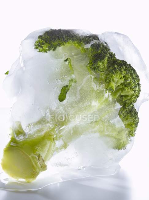Brokkoli in Eis auf weißem Hintergrund — Stockfoto