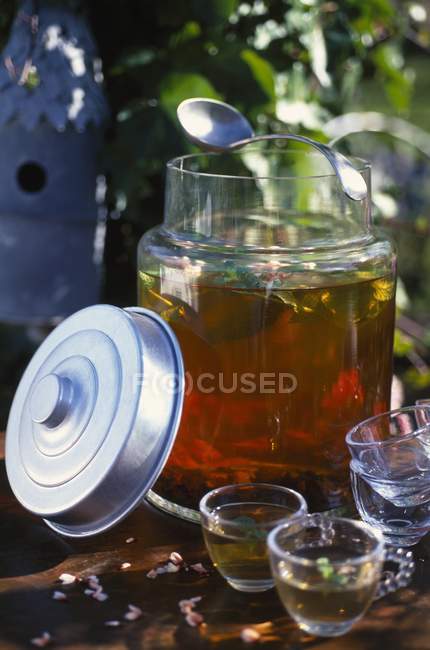 Пряний м'ятний чай з льодом — стокове фото