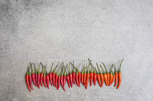 Fresh red chillis — Stock Photo