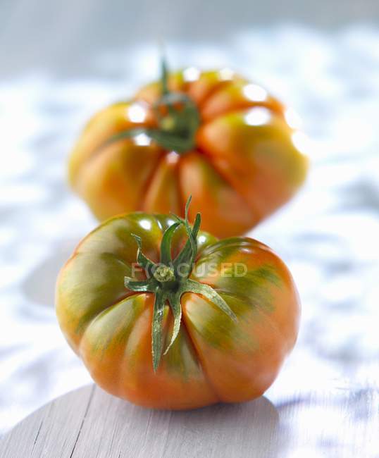 Frisch gepflückte Tomaten — Stockfoto