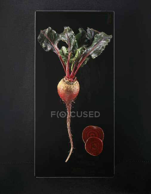 Fresh Beetroot with stalk and slices — Stock Photo