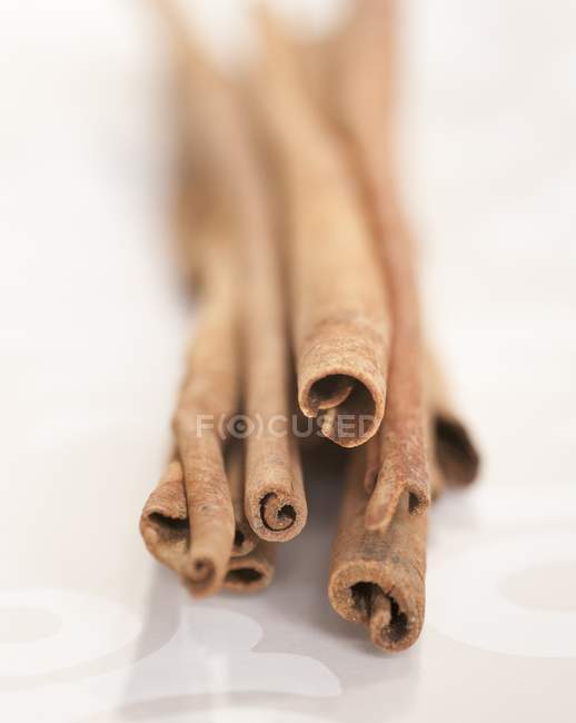 Cassia sticks  laying on white surface — Stock Photo