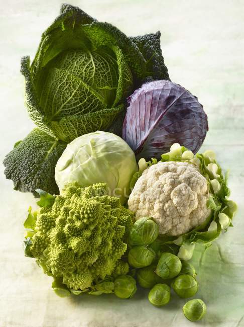 Fresh Assorted cabbages — Stock Photo