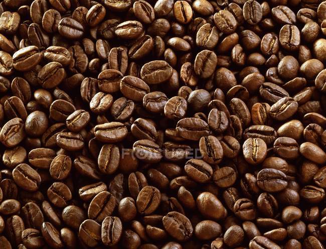 Grains de café frais — Photo de stock