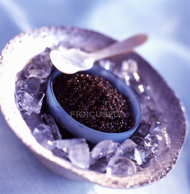 Tigela de caviar beluga — Fotografia de Stock