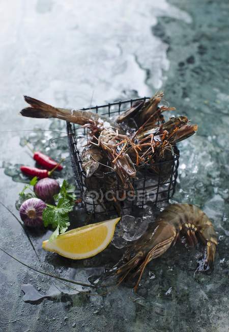 Fresh prawns in wire basket — Stock Photo