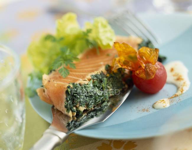 Half-cooked salmon with herbs — Stock Photo