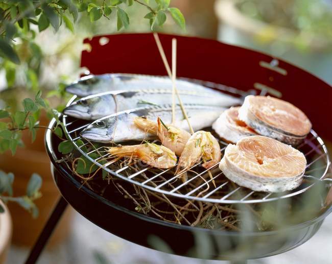 Closeup daytime view of fish and prawns on barbecue rack — Stock Photo