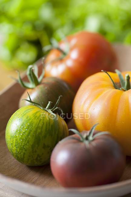 Plate of multicolored tomatoes — Stock Photo