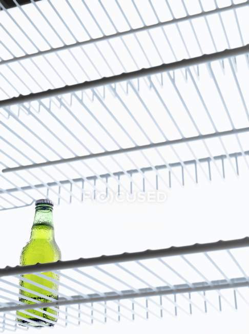 Bottle of beer inrefrigerator — Stock Photo