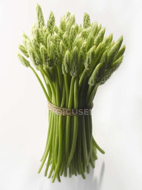Manojo de espárragos verdes salvajes - foto de stock