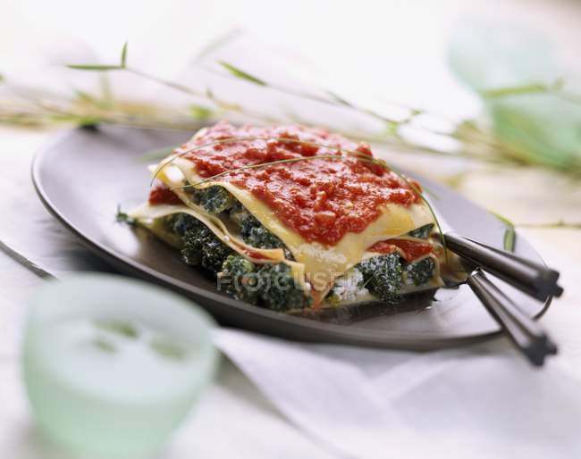 Brokkoli und Tomaten-Lasagne — Stockfoto