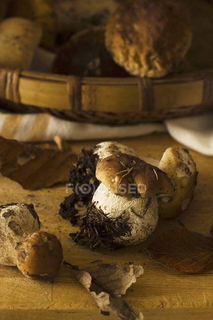 Raw Porcini mushrooms on wooden surface — Stock Photo