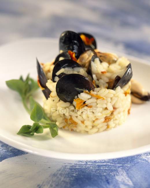 Nahaufnahme von Reis mit Miesmuscheln und Kräutern auf Teller — Stockfoto