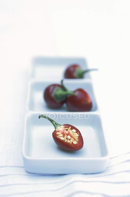 Chili peppers on square plates — Stock Photo