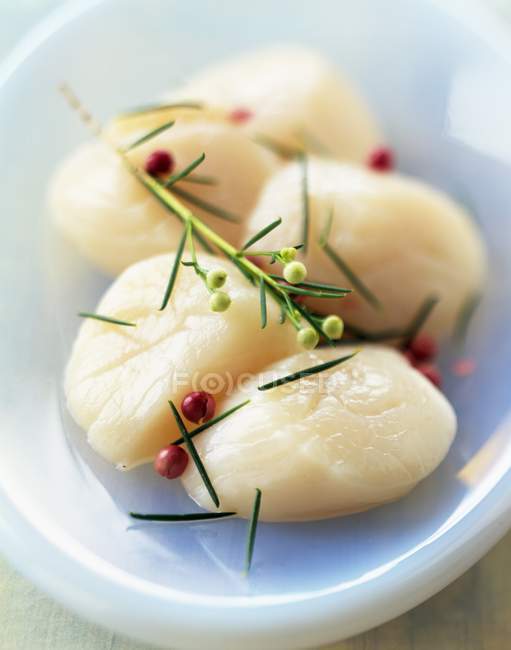 Closeup view of raw scallops with herbs in bowl — Stock Photo