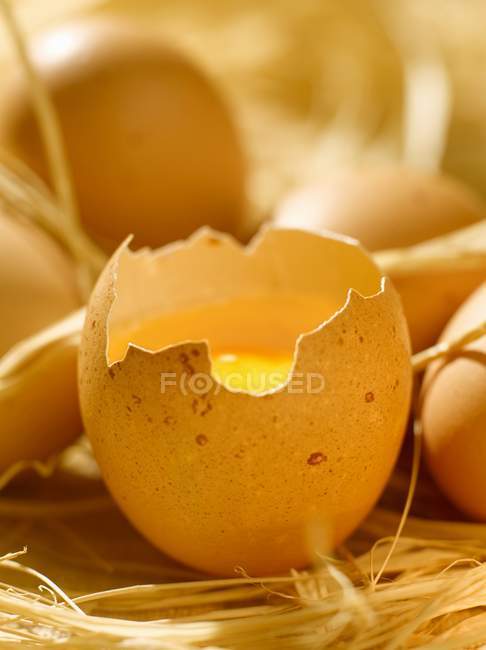 Fresh cracked Egg — Stock Photo