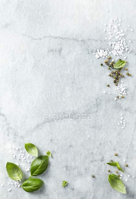 Folhas de manjericão com sal marinho — Fotografia de Stock