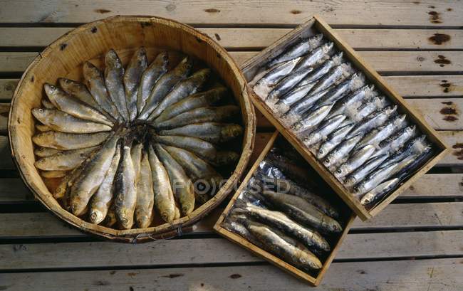 Saumure sardines and anchovies — Stock Photo